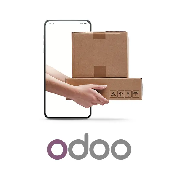 e-commerce Odoo